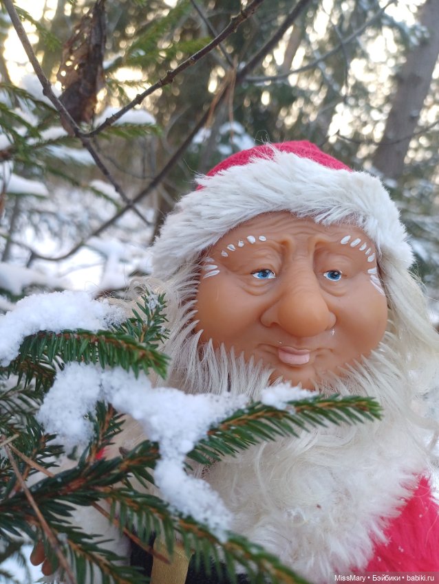 Мороз Иваныч в зимнем лесу 🌲❄️ (фото 6)