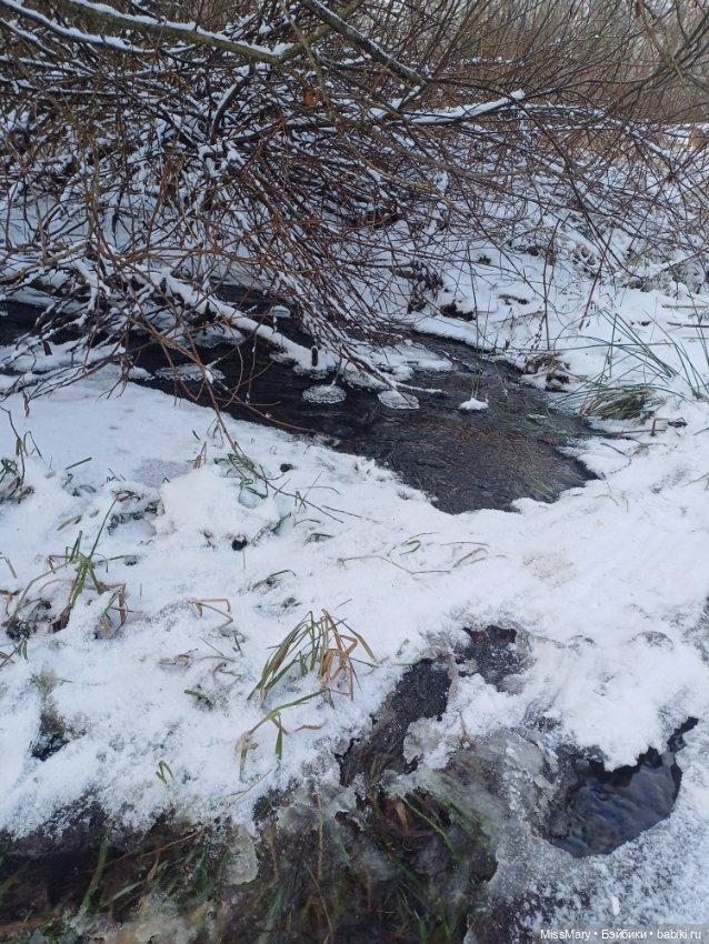 Мороз Иваныч в зимнем лесу 🌲❄️