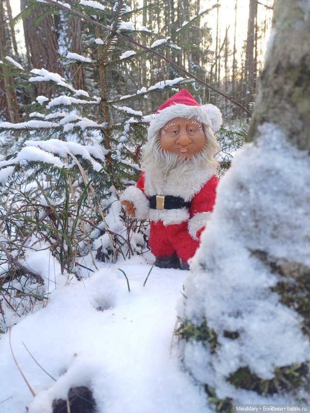 Мороз Иваныч в зимнем лесу 🌲❄️ (фото 10)