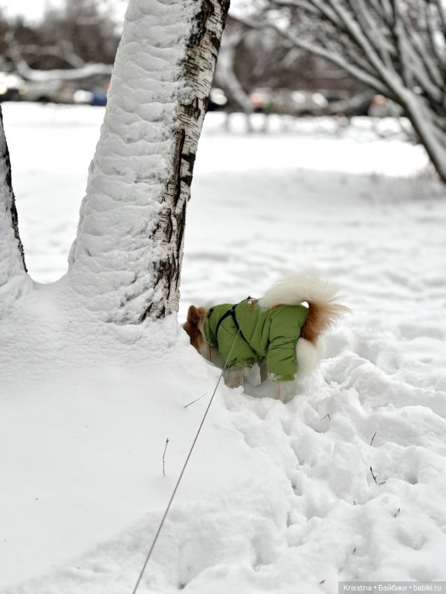 Подарок любимому мужу — Болталка и разговоры обо всем: жизнь (фото 8)