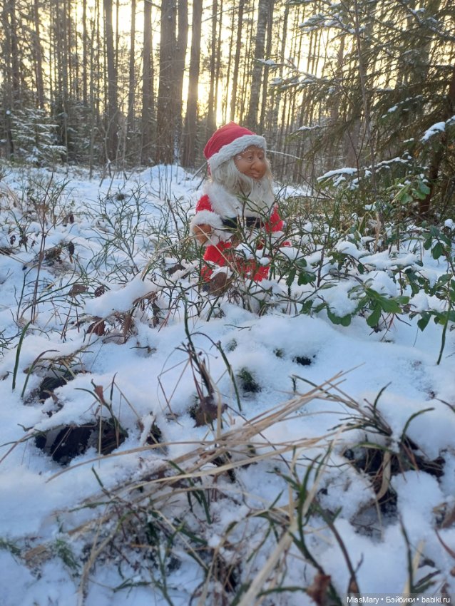 Мороз Иваныч в зимнем лесу 🌲❄️