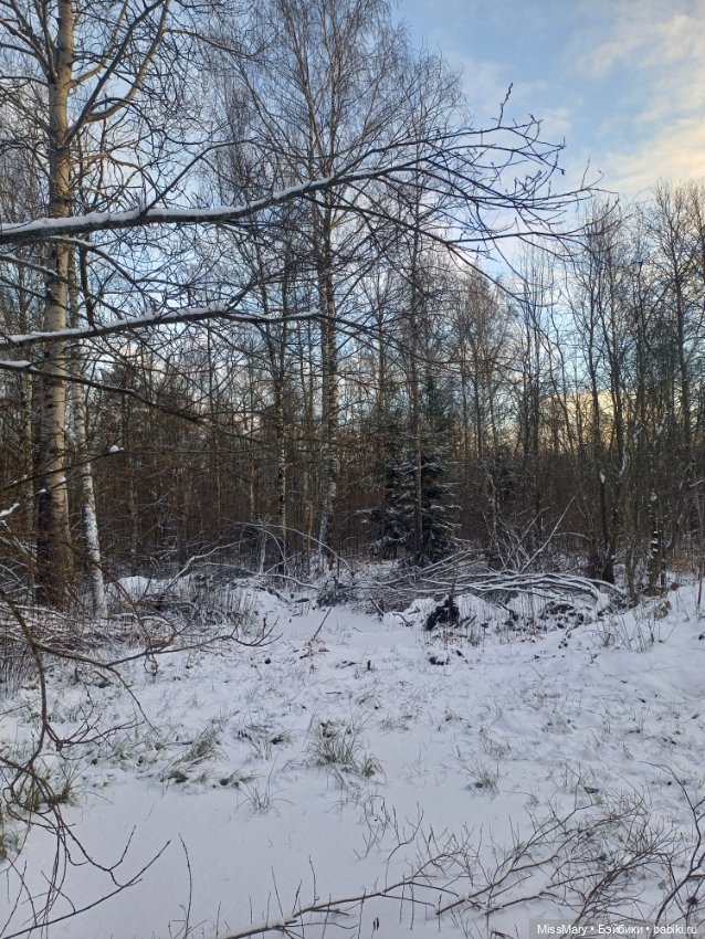 Мороз Иваныч в зимнем лесу 🌲❄️