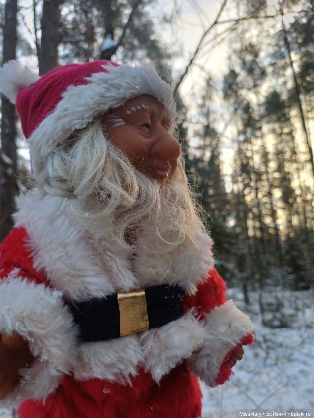 Мороз Иваныч в зимнем лесу 🌲❄️ (фото 8)