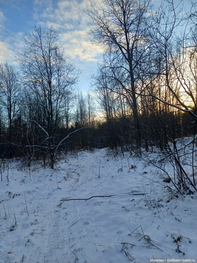 Мороз Иваныч в зимнем лесу 🌲❄️
