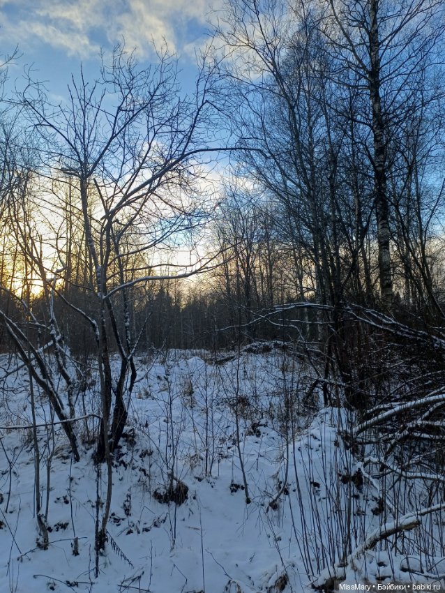 Мороз Иваныч в зимнем лесу 🌲❄️