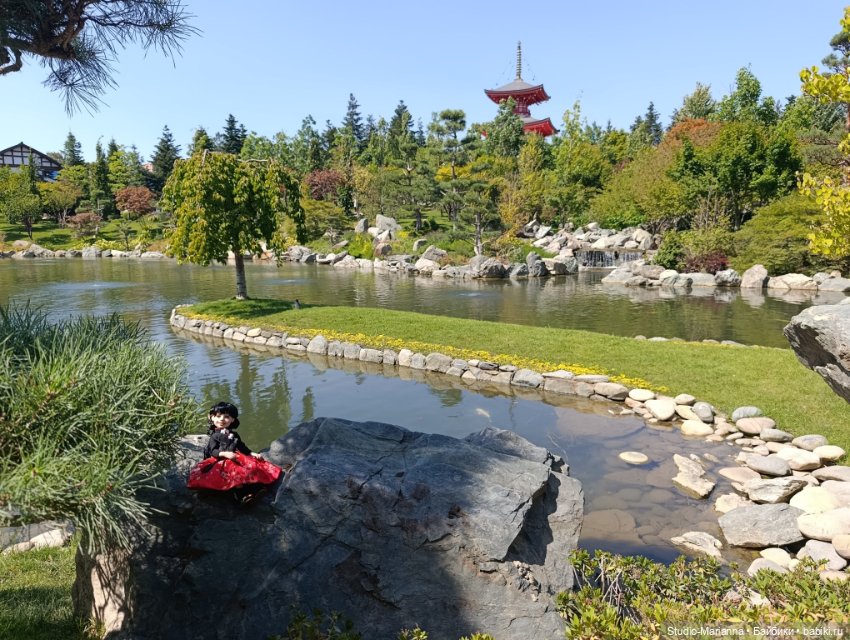 Катюшка в японском саду в Краснодаре