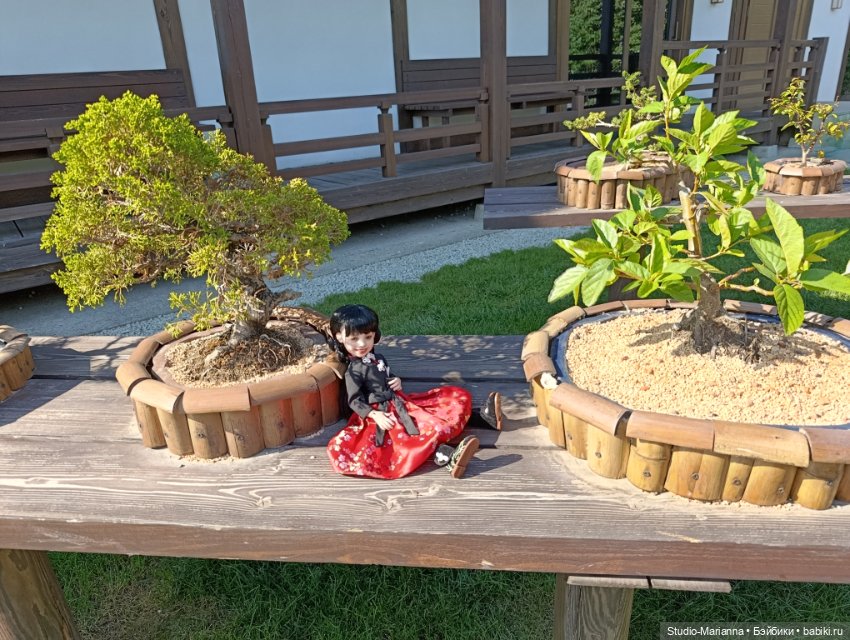 Катюшка в японском саду в Краснодаре