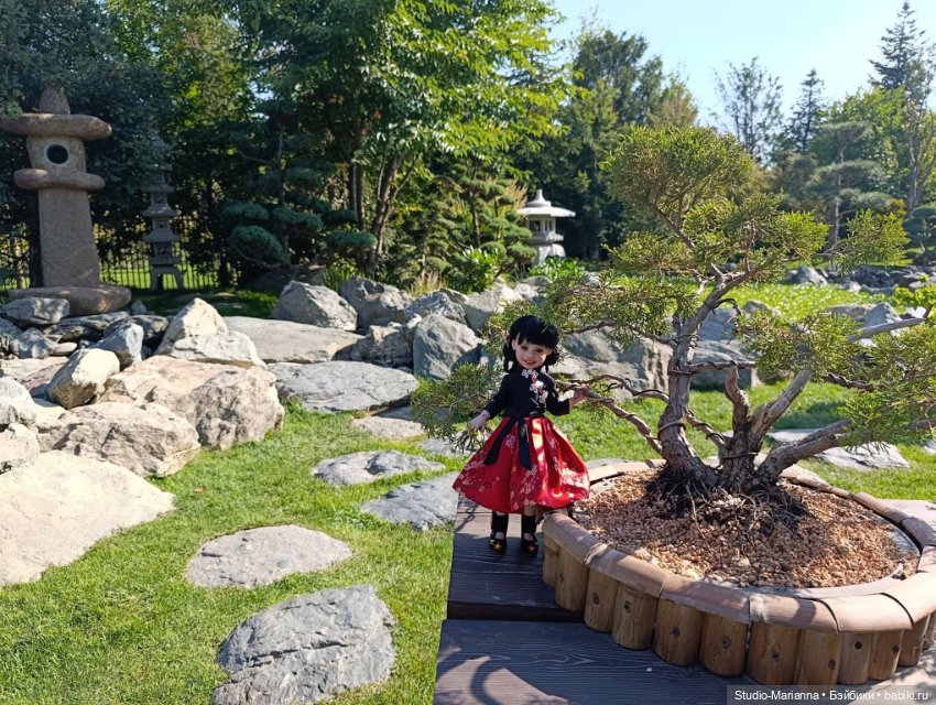 Катюшка в японском саду в Краснодаре