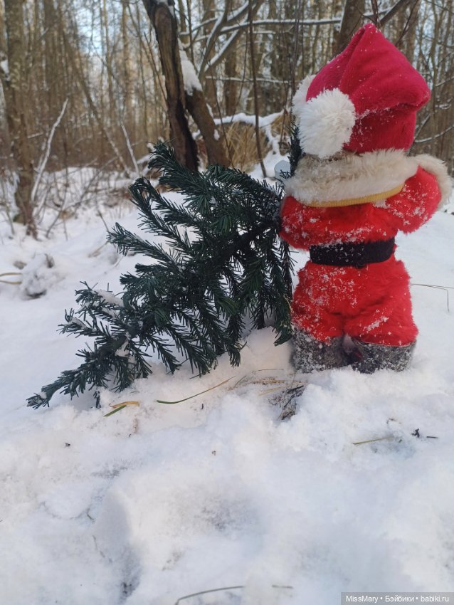 Как Мороз Иваныч за ёлкой ходил 🌲 (фото 6)