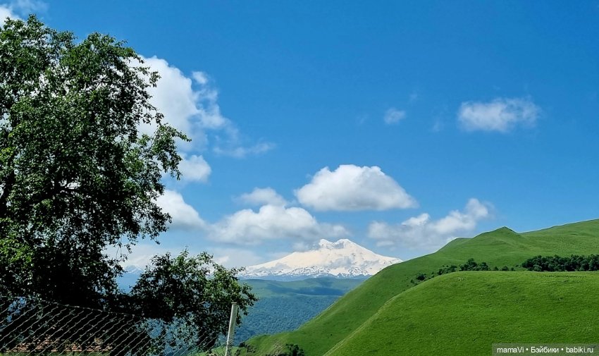 Как Тюпа Лучикова в отпуск ездила