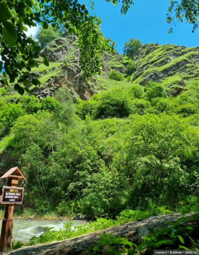 Как Тюпа Лучикова в отпуск ездила