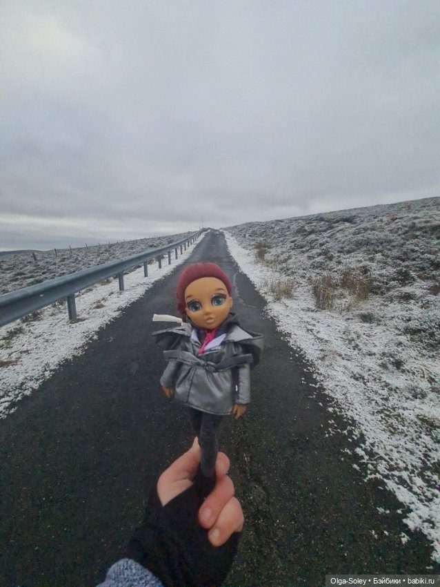 До свиданья старый год — Игровые куклы разных производителей (Разное): редкие бренды