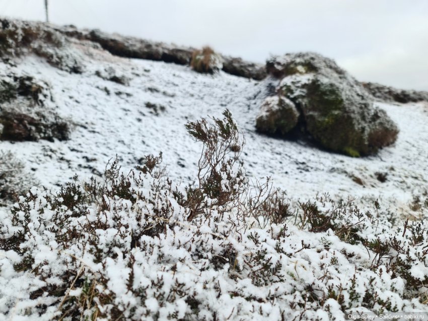 До свиданья старый год — Игровые куклы разных производителей (Разное): редкие бренды (фото 8)