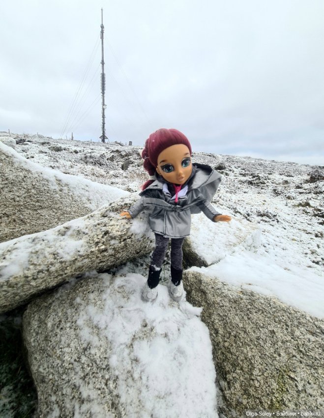 До свиданья старый год — Игровые куклы разных производителей (Разное): редкие бренды