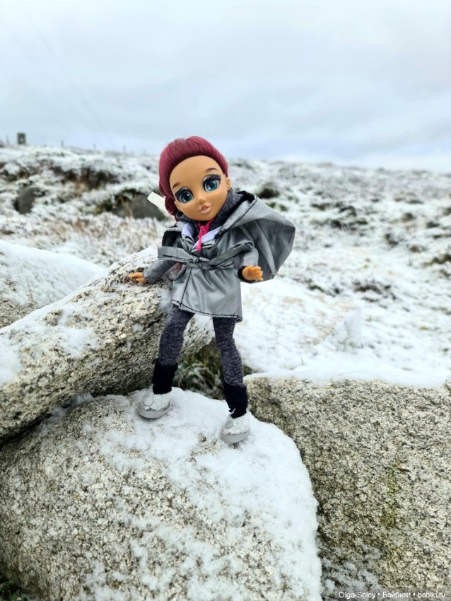 До свиданья старый год — Игровые куклы разных производителей (Разное): редкие бренды