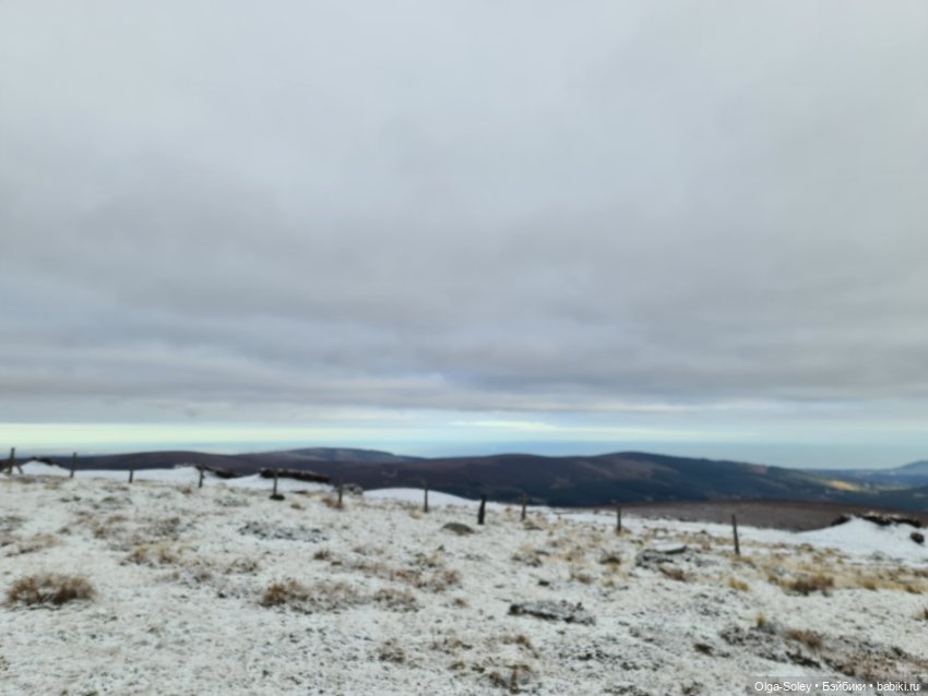 До свиданья старый год — Игровые куклы разных производителей (Разное): редкие бренды