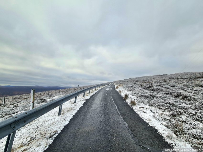 До свиданья старый год — Игровые куклы разных производителей (Разное): редкие бренды (фото 10)