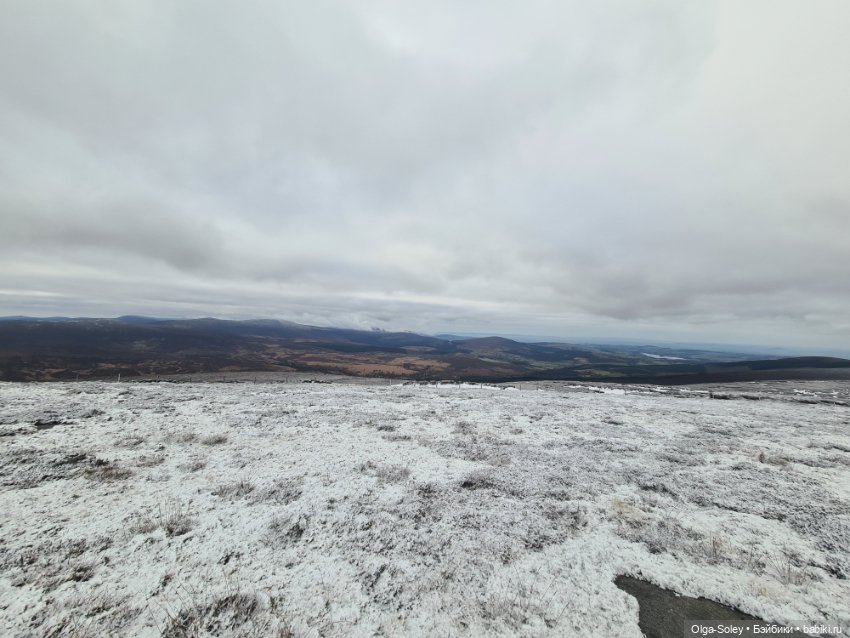 До свиданья старый год — Игровые куклы разных производителей (Разное): редкие бренды (фото 2)