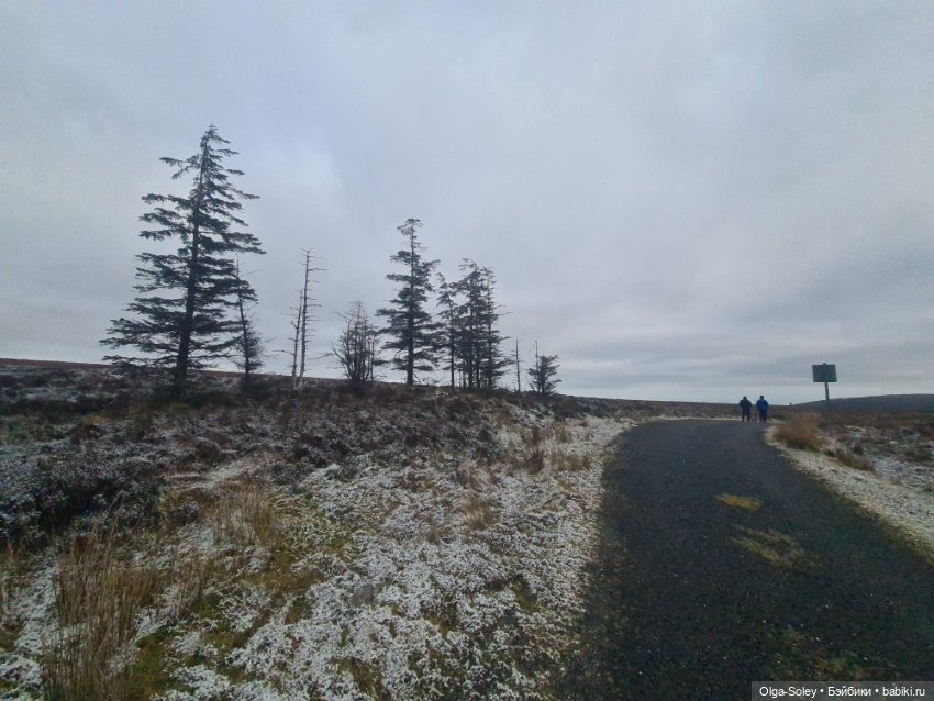 До свиданья старый год — Игровые куклы разных производителей (Разное): редкие бренды