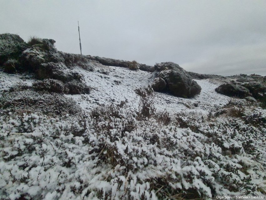 До свиданья старый год — Игровые куклы разных производителей (Разное): редкие бренды