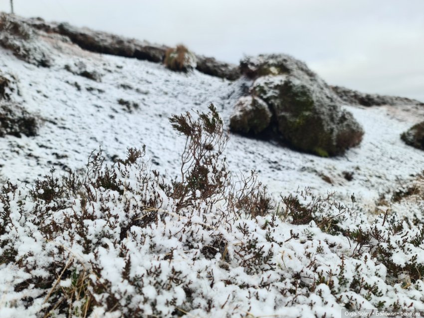 До свиданья старый год — Игровые куклы разных производителей (Разное): редкие бренды