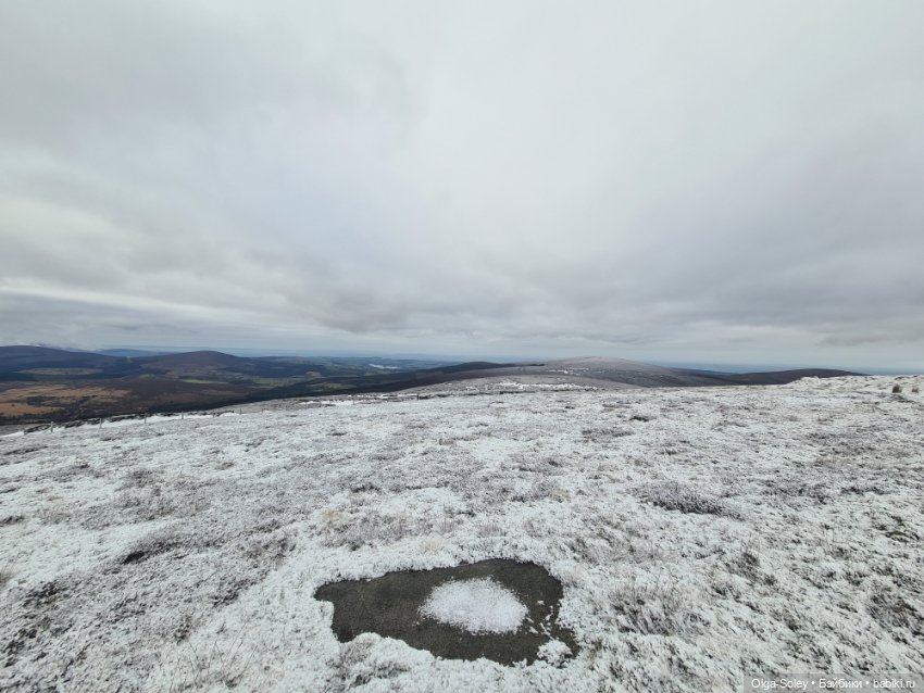 До свиданья старый год — Игровые куклы разных производителей (Разное): редкие бренды