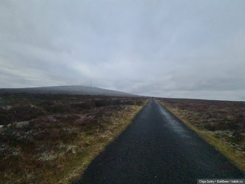 До свиданья старый год — Игровые куклы разных производителей (Разное): редкие бренды