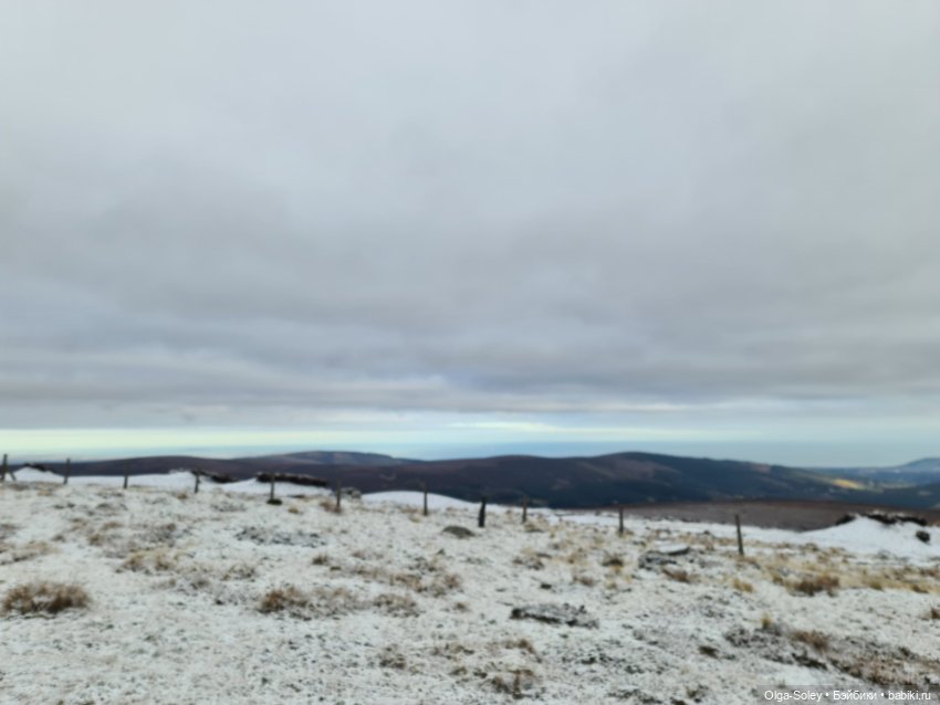 До свиданья старый год — Игровые куклы разных производителей (Разное): редкие бренды (фото 6)