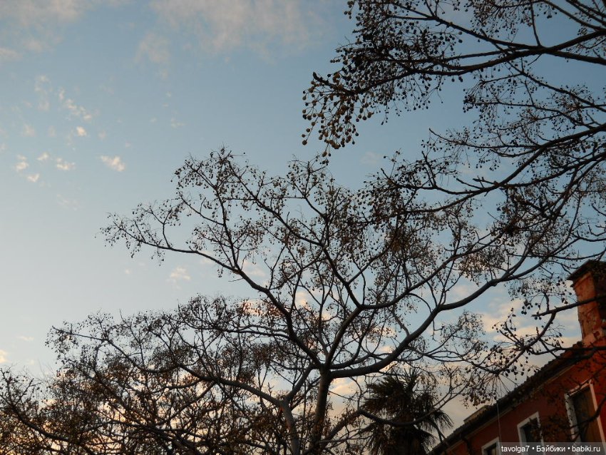 1000й топик на Бэбиках — Туризм и путешествия: фотоотчеты из поездок