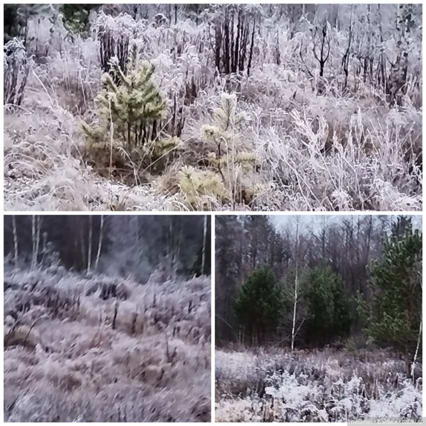 Вчера ночью 😱 — Куклы Dart dolls (Анна Шиткина): российские BJD (БЖД)