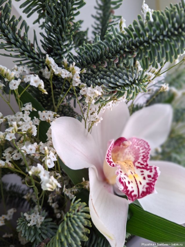 Новый образ Анюты — Куклы LeeAnn (Denis Bastien) и Marianna Oldenburg: винил (фото 7)