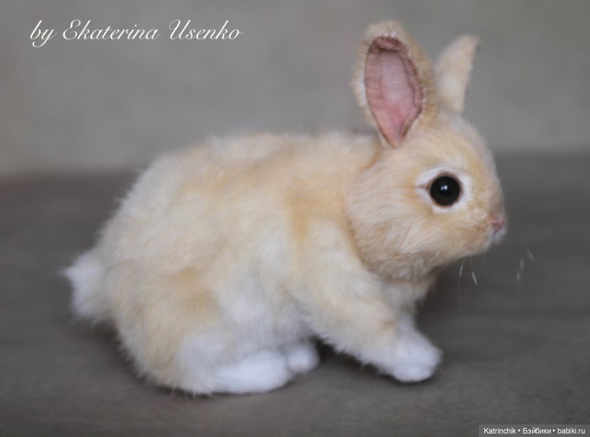 Кролик — Реалистичные игрушки и звери (Натюр): собаки (фото 8)