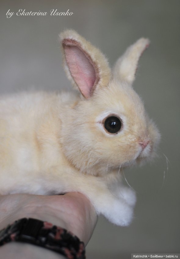 Кролик — Реалистичные игрушки и звери (Натюр): собаки (фото 7)