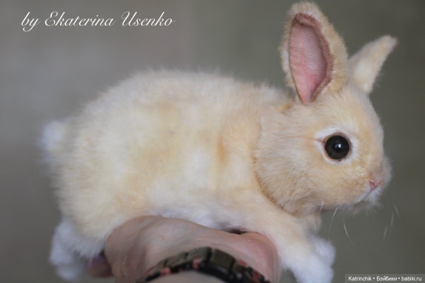 Кролик — Реалистичные игрушки и звери (Натюр): собаки (фото 6)