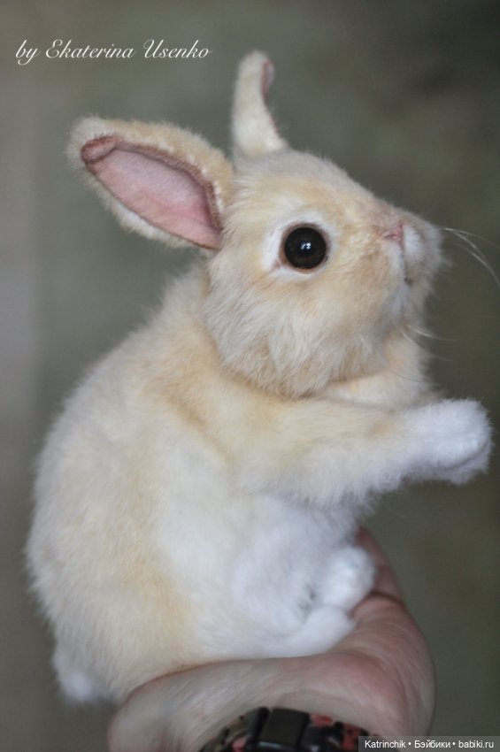 Кролик — Реалистичные игрушки и звери (Натюр): собаки