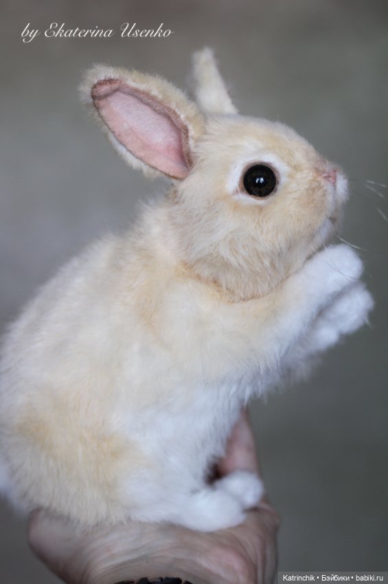 Кролик — Реалистичные игрушки и звери (Натюр): собаки (фото 2)