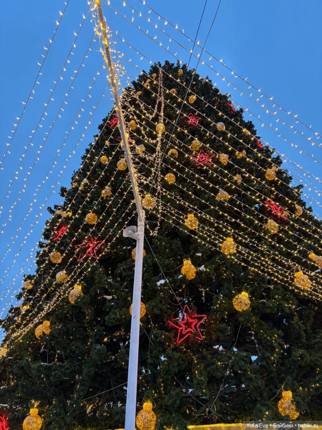 Зига выбралась на прогулку (фото 2)