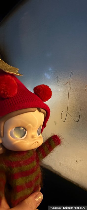 Зига выбралась на прогулку (фото 9)