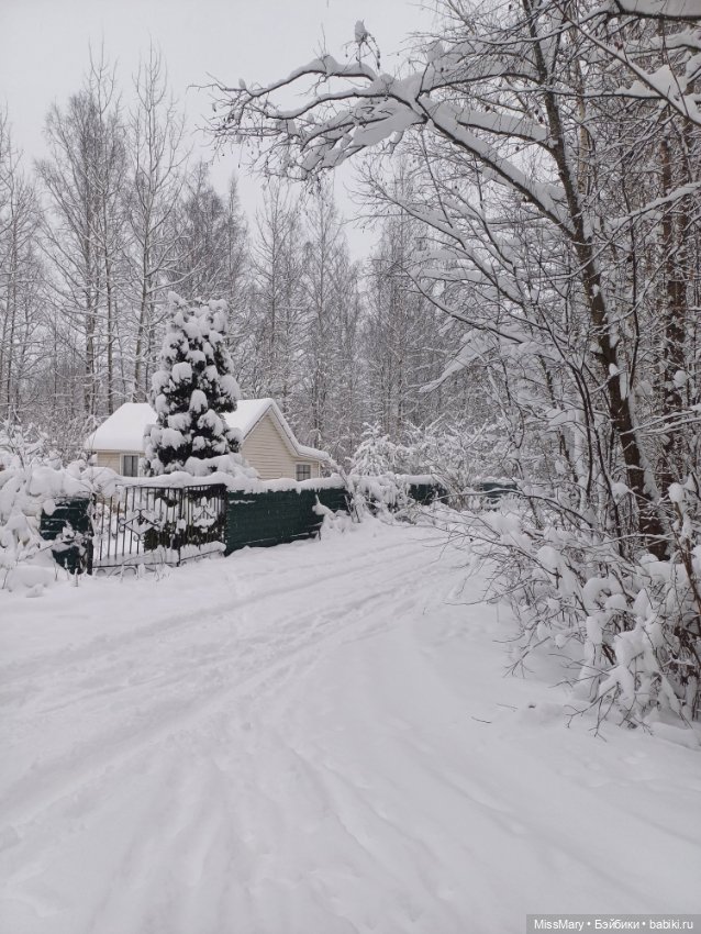 После снегопада❄️ — Красивая природа и цветы: фото пейзажей
