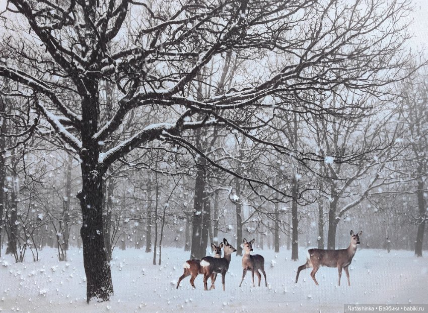 Мои друзья-13 — Кукольные фотоистории и сериалы: комиксы (фото 9)