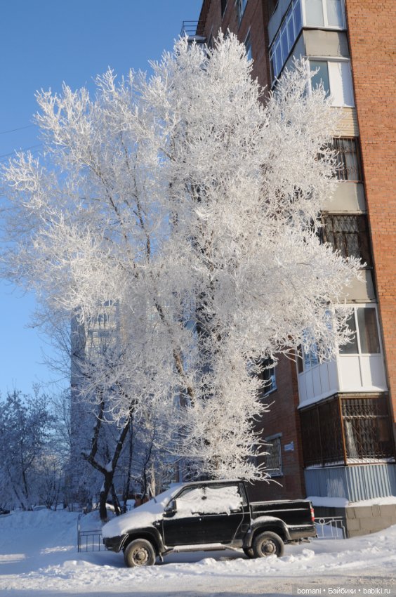 Смотри, какая красота — Разные шарнирные куклы (не БЖД): редкие