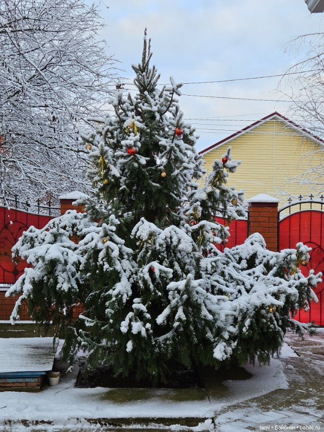 Мечта сбылась — Куклы Monika Levenig и Monika Peter