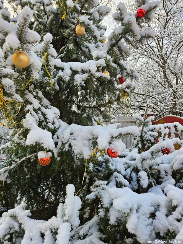 Мечта сбылась — Куклы Monika Levenig и Monika Peter