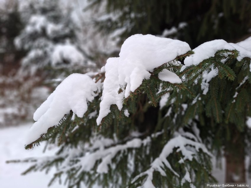 После снегопада — Игрушки Labubu (Лабубу) и The Monsters: Pop Mart