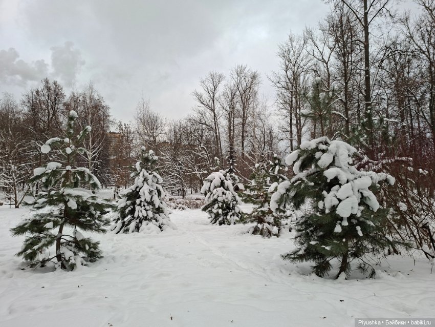 После снегопада — Игрушки Labubu (Лабубу) и The Monsters: Pop Mart