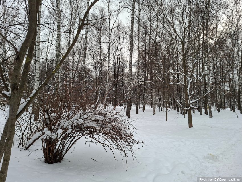 После снегопада — Игрушки Labubu (Лабубу) и The Monsters: Pop Mart