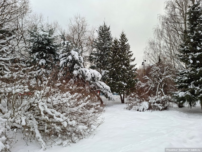 После снегопада — Игрушки Labubu (Лабубу) и The Monsters: Pop Mart (фото 2)