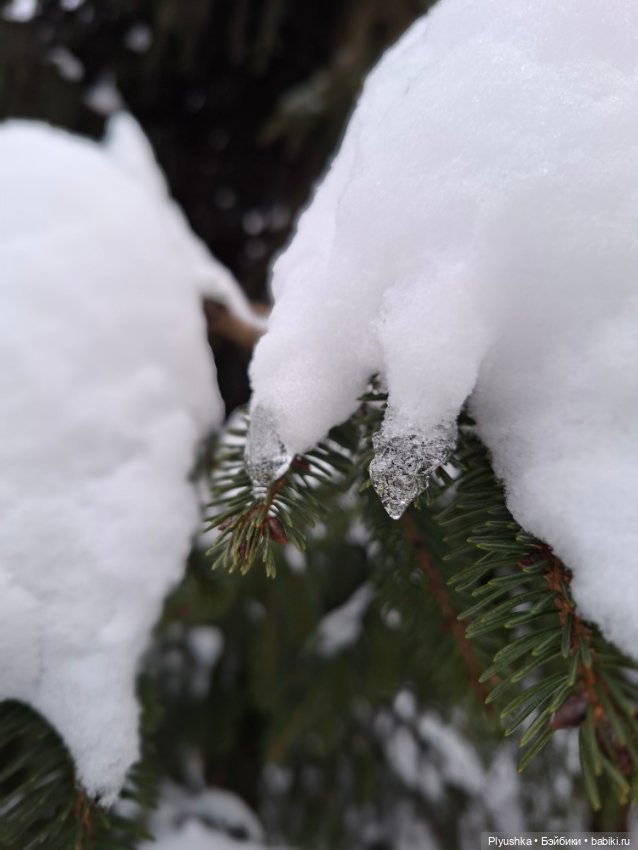 После снегопада — Игрушки Labubu (Лабубу) и The Monsters: Pop Mart