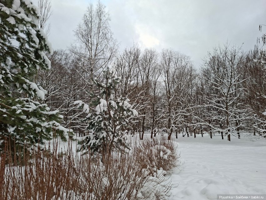 После снегопада — Игрушки Labubu (Лабубу) и The Monsters: Pop Mart