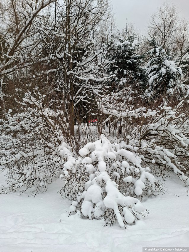 После снегопада — Игрушки Labubu (Лабубу) и The Monsters: Pop Mart (фото 7)